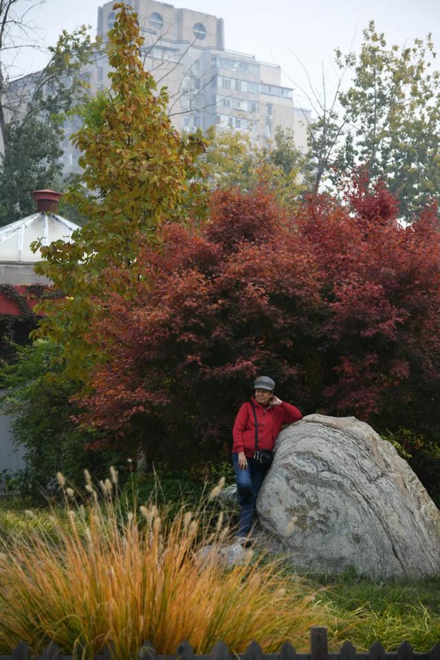 人在画中游!丰台花园秋色满园,错过再等一年,快来打卡~