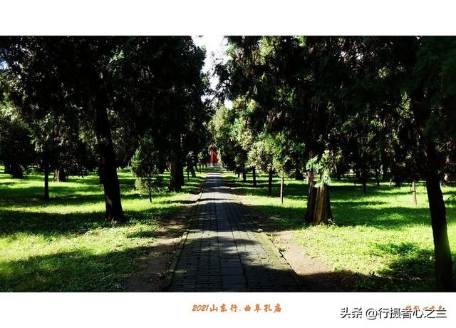 山东行游影记（207）—曲阜孔庙（二）