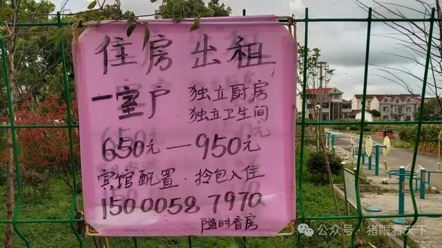 一次浦东乡村的深度二日游