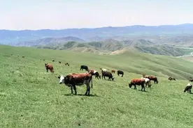 延毕，非升即走，悬在博士们头上的两把刀，怎不让人瑟瑟发抖图片