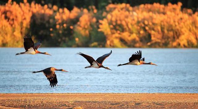 携台湾亲朋自驾游滇西南之十一