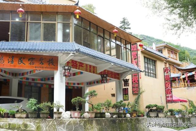 避暑胜地·康养宕昌｜宕昌民宿：诗意与康养交织的旅居之所