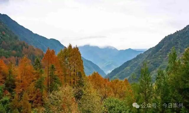 漫山彩林，琉璃坝的色彩美学