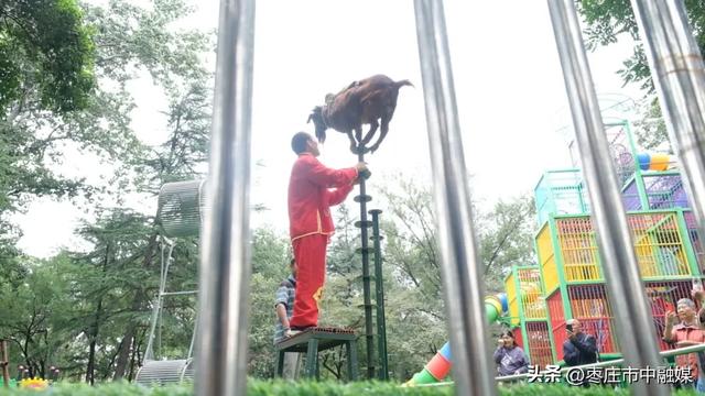 枣庄动物园升级啦!!
