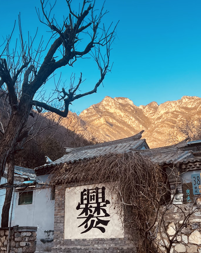 颜值拉满！洁白“雪乡”承包你的冬日梦境| 周末京郊微度假