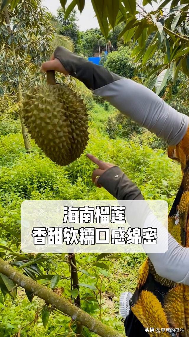 失去中国市场后，大量水果烂地里卖不出去，现在开始后悔得罪中国