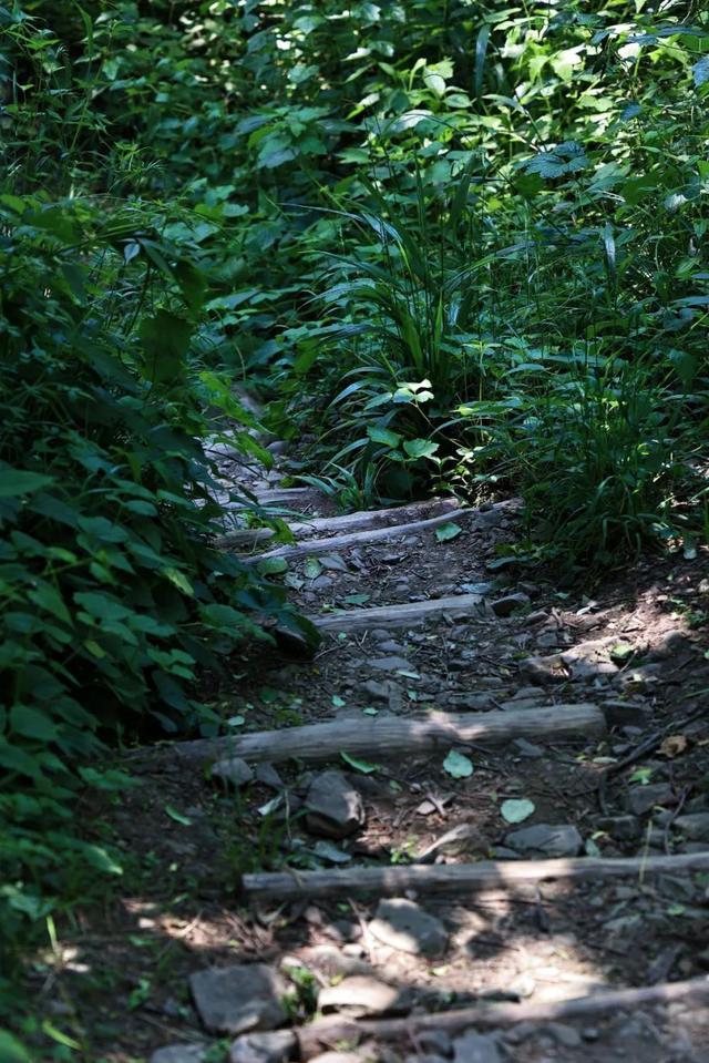 报告！新发现都江堰隐藏款“绿野仙踪”🤟