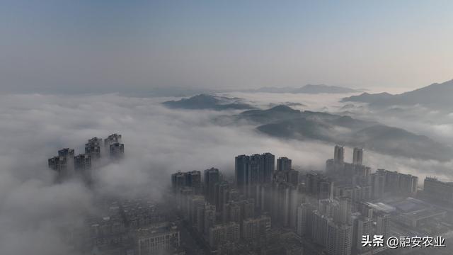 广西融安：云雾缭绕 美景如画