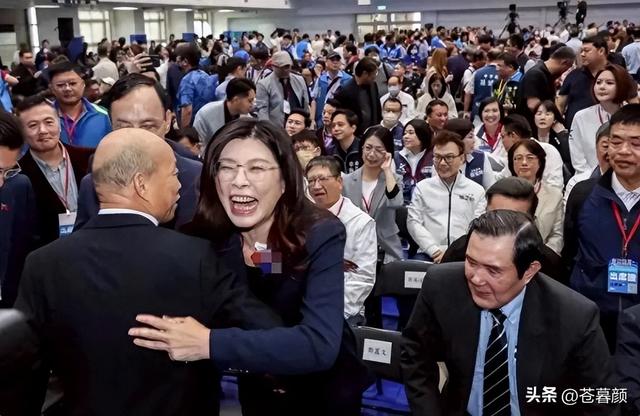 郑丽文又有大动作，当着日媒的面、直接说出心里话，绿营瞬间炸锅