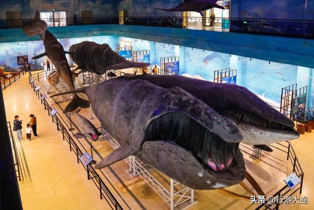 周末不无聊~带娃去这些地方“放电”，还能涨知识！