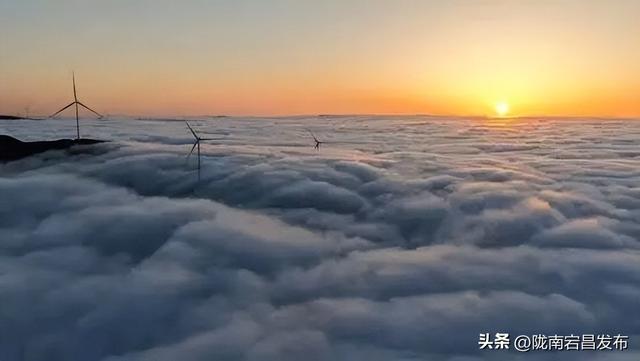 重走长征路—“红色圣地·千年药乡”2025宕昌（南河）首届健康跑