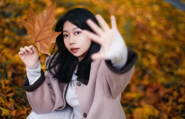 不用去南京，醴陵有属于自己的梧桐大道