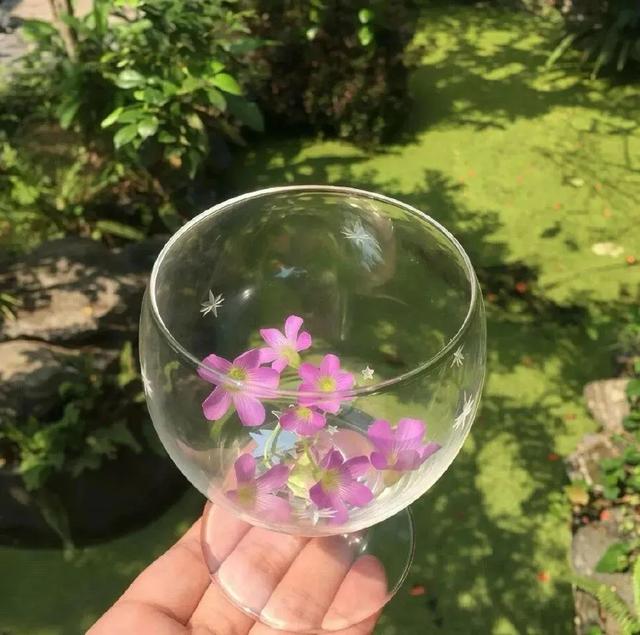 今日文案｜浪漫主义者都是暗处迎盛阳的玫瑰