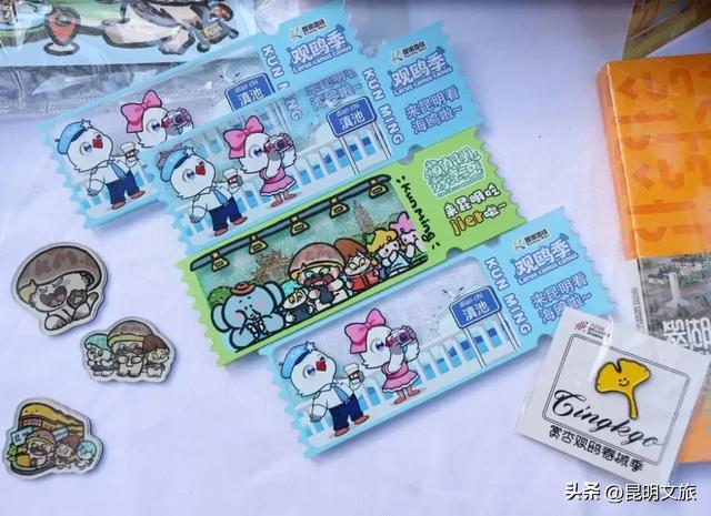 跟着滇超游昆明 | “鸥”然心动!打卡日记已备好,观鸥季精彩继续~