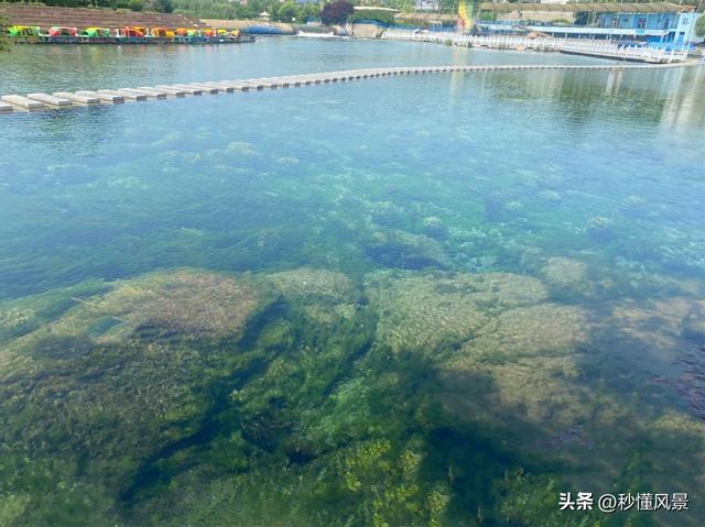 河北版“马尔代夫”，无门票无停车费，夏季游泳钓鱼戏水好去处！