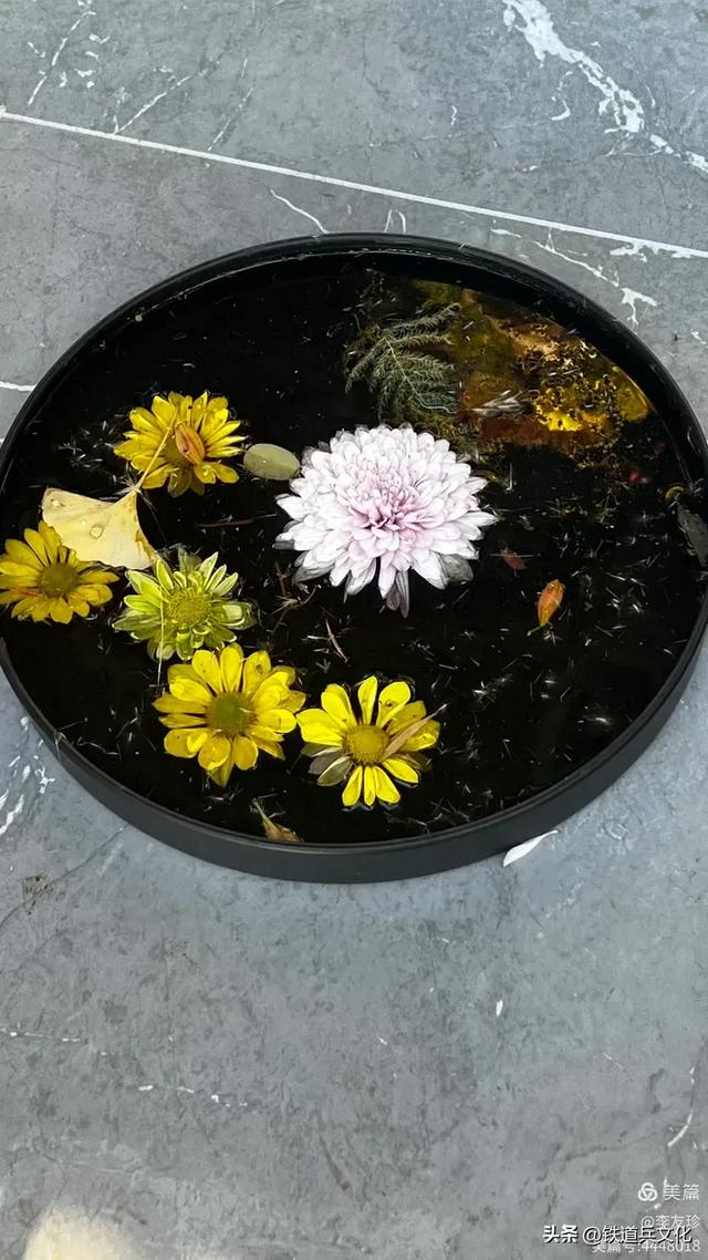 李友珍||岁月倏然·菊韵飘香——紫竹院公园的菊展