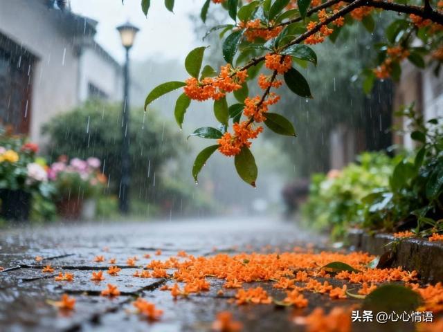 两性关系：60多岁的阿姨们坦言，女人找老伴，最大的需求是这一点