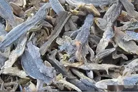 养殖壁虎年赚千万？暗藏三大致命陷阱，有人暴富有人坐牢！图片