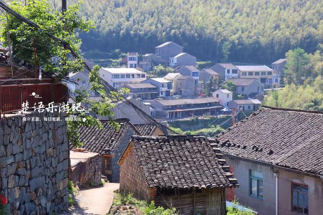 浙江宁波的竹林双古道，被誉为治愈系徒步胜地，景色宜人值得游玩
