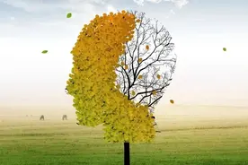 表里辨证概念混乱，并非临床的必须程序图片