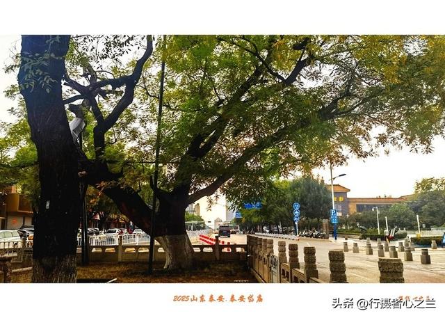 山东行游影记（303）—泰安双龙池