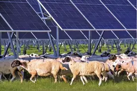 卫星发现，中国斥巨资在沙漠里摆光伏板，能效令人意外！图片