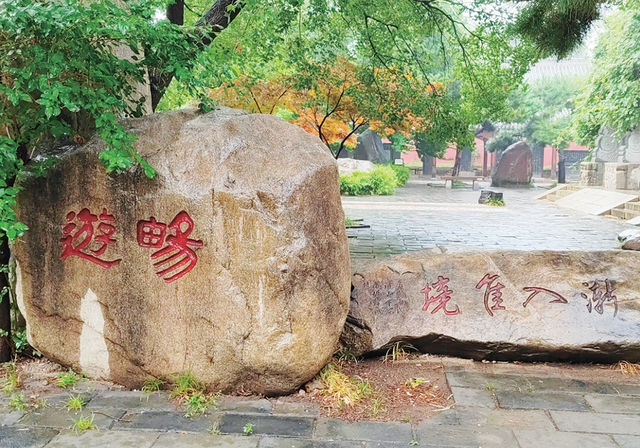天下泰山丨古庙听雨 沁润心灵