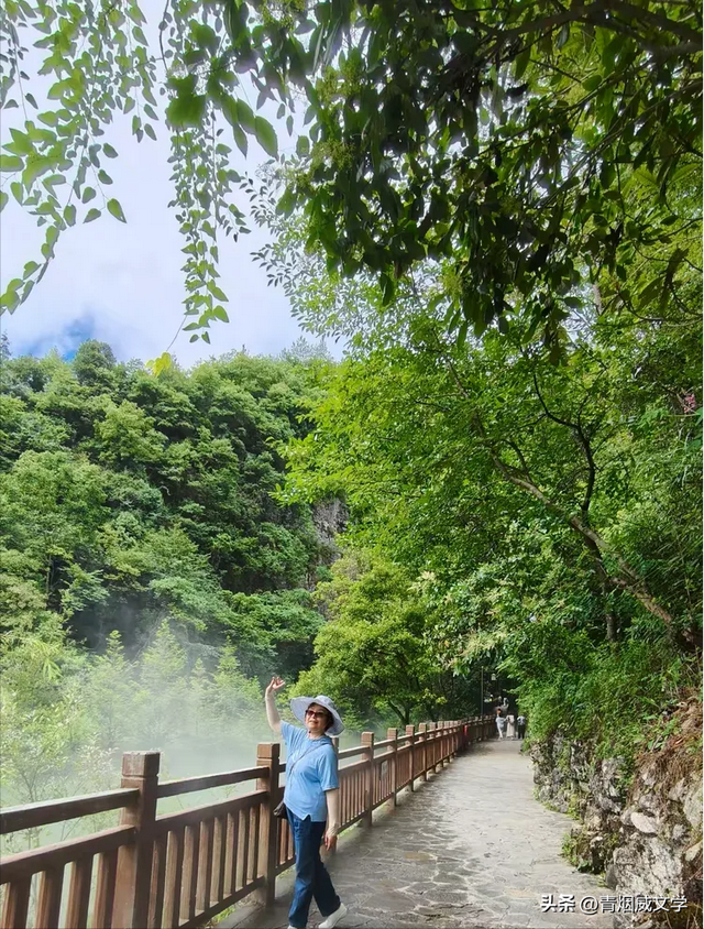 2025 凉雾之夏