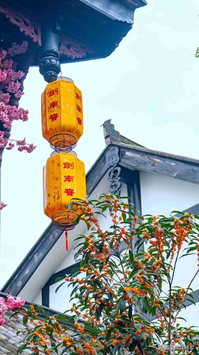剑南老街桂花香