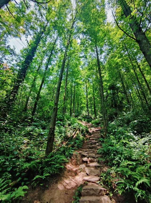 实测低9℃！成都1.5h的免费溯溪玩水遛娃路线，超安逸！