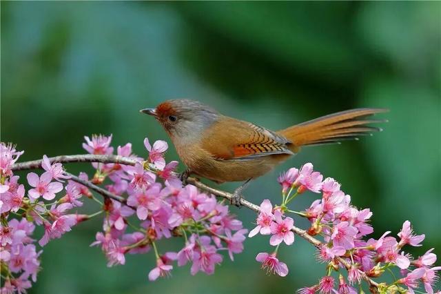 滇超联赛｜@大理保山 看惯了大理的风花雪月，再来体验下保山的高山流水吧