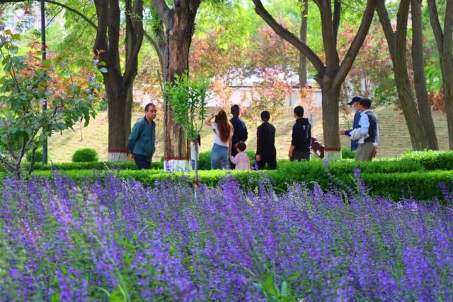 【白银文旅】不止于绿！白银区“公园+”绘出宜居城市幸福图景