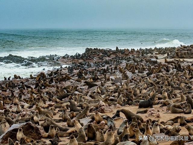 沙漠风光旅游不可忽视的国家——纳米比亚