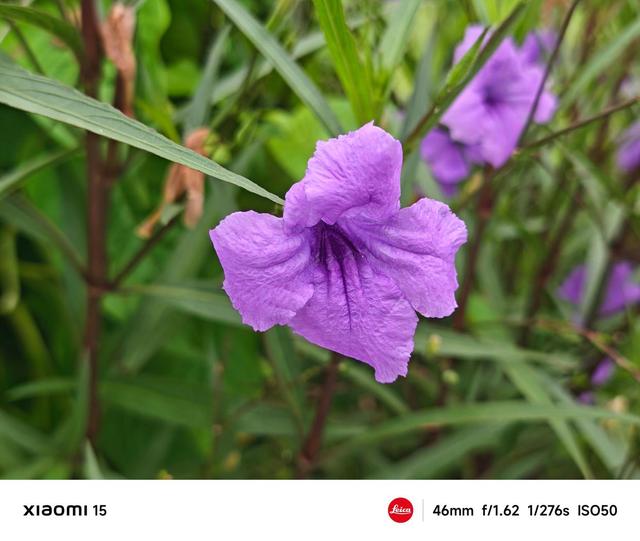 3000元档小屏手机推荐：一加13T、小米15、OPPOFindX8s