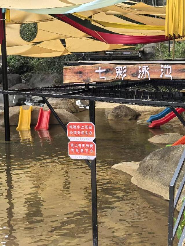 追梦老顽童戴树民：有一个地方叫“湖洋”