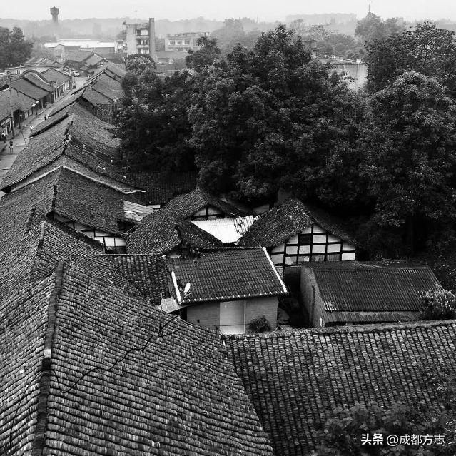 纵贯“天府第一路”，成都这条文旅线可以闭眼冲！