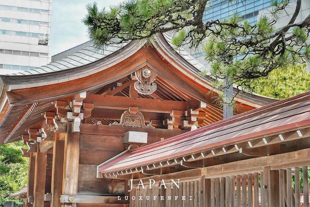 九州之旅从福冈开始!这里不只有拉面,还有精彩的山笠祭!