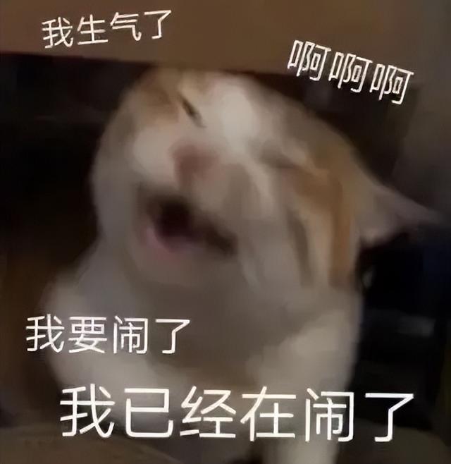 17999的iPhone用了“更差”的闪存，但我觉得这是好事