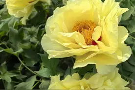 你别不信，人活得越老越可怕，最好的活法就是活在当下珍惜眼前图片