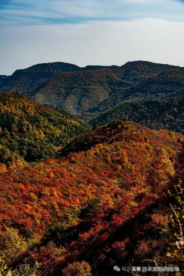 陕西渭南：姹紫嫣红 游人如织 服务周到 韩城香山红叶欣赏正当时