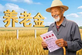 农村养老金发放标准图片