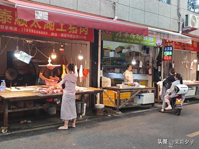福鼎市区一日游：从白茶发源地到市井小吃赏唐风建筑品山海韵味