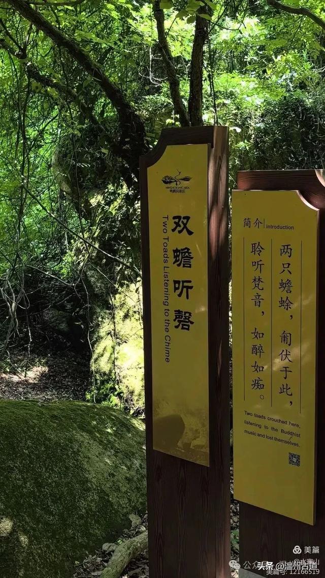大多浙江人不知道的小众秘境，绿野仙踪！秘藏了“浙东第一古道"