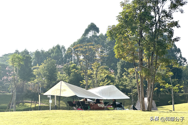 逃离城市热浪！东莞这个秘密花园藏不住了