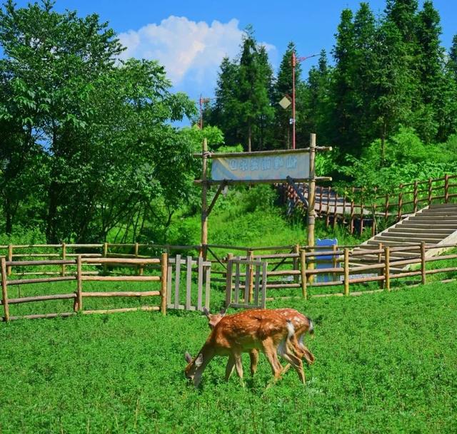 仅25℃！高铁2h直达苗乡秘境，免费峡谷徒步超凉快，纳凉好去处！