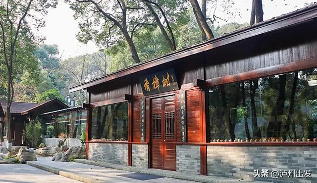 在泸州，我真的很羡慕住在老城区的人！