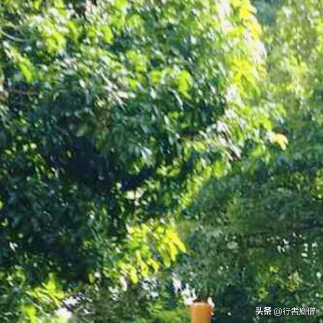 《行者随谈》17.