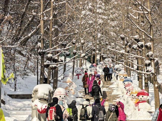 雪落千山披银装 八方游客赏胜景