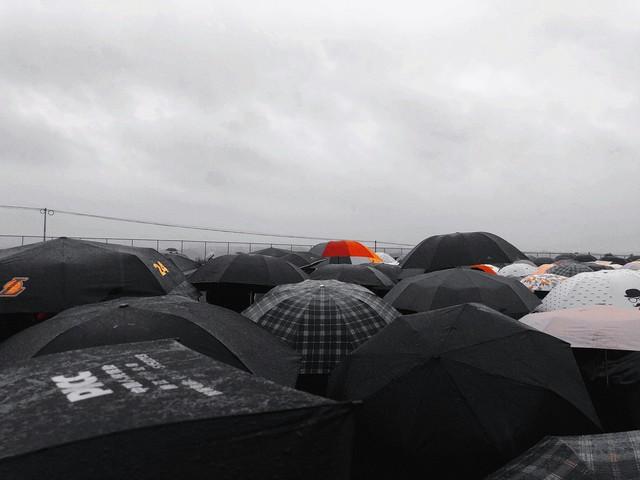 大量宿迁游客涌入黑河 打着旅游幌子不去旅游不吃美食，为啥来？