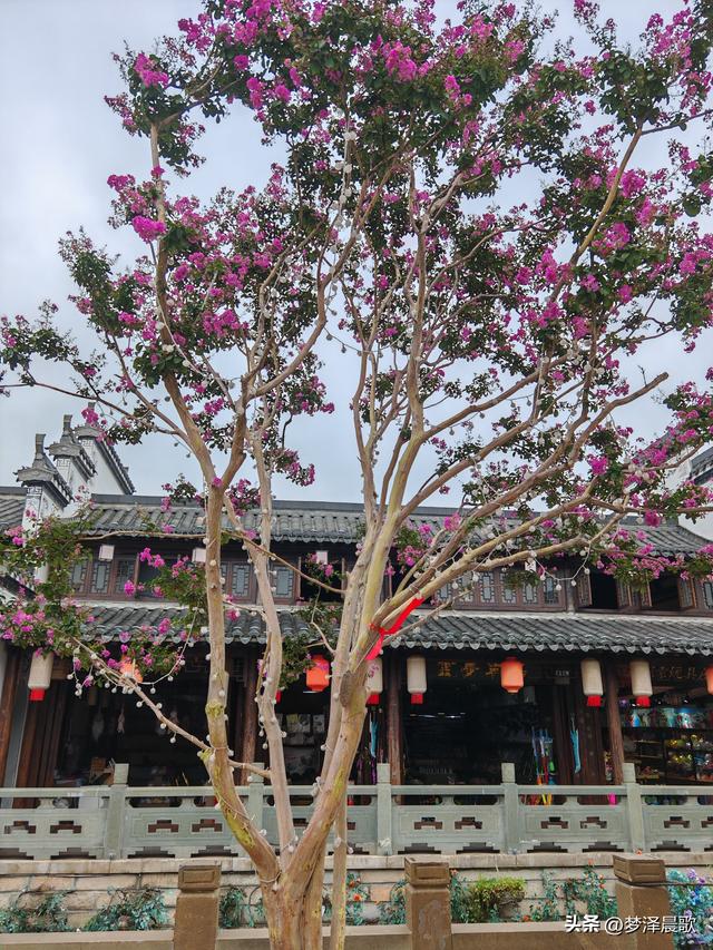 祥云湾竹木赋 ——癸卯秋日云梦纪行